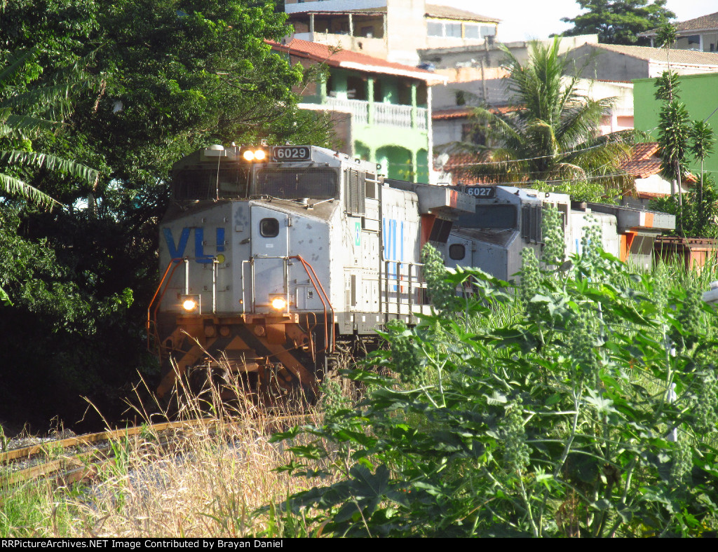 VLI 6029